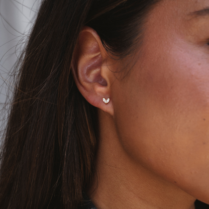 VIVI. TACHAS