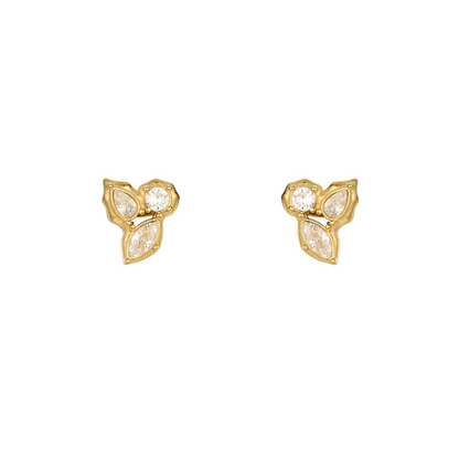 OBSERVAR LAS ESTRELLAS TRES.