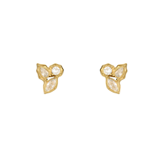 OBSERVAR LAS ESTRELLAS TRES.