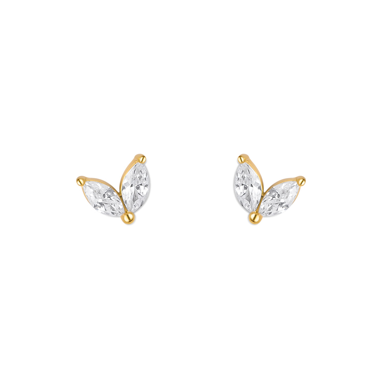 VIVI. TACHAS