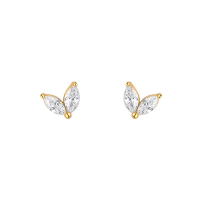 VIVI. TACHAS