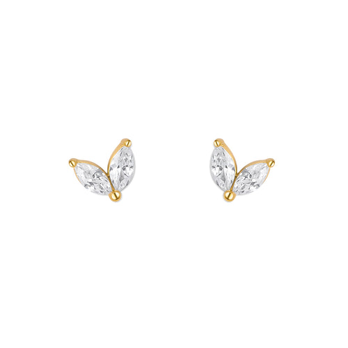 VIVI. TACHAS
