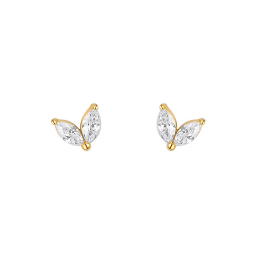 VIVI. TACHAS