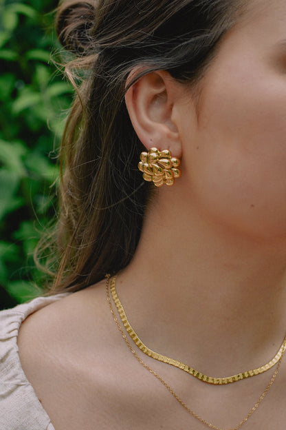 Aretes CLUSTER