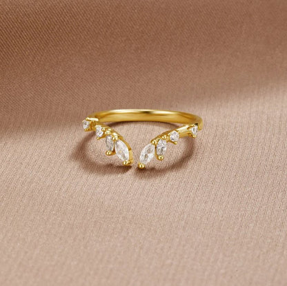 Anillo LÉA